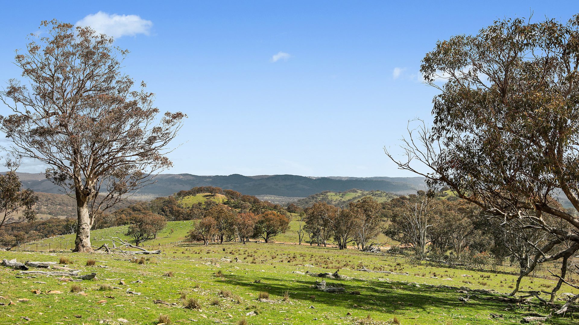 For Sale - Lot 1301, Queens Pinch Road - New Property in Mudgee - Real Estate by Adam Woods