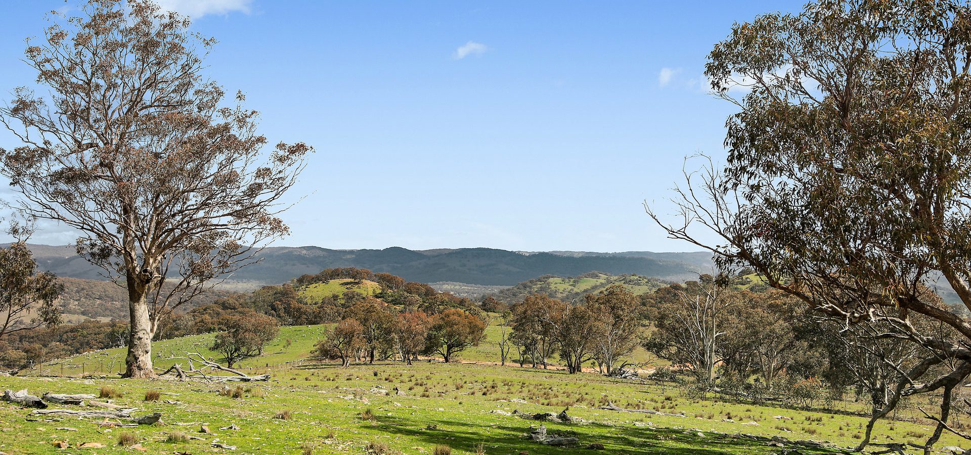 For Sale - Lot 1301, Queens Pinch Road - New Property in Mudgee - Real Estate by Adam Woods