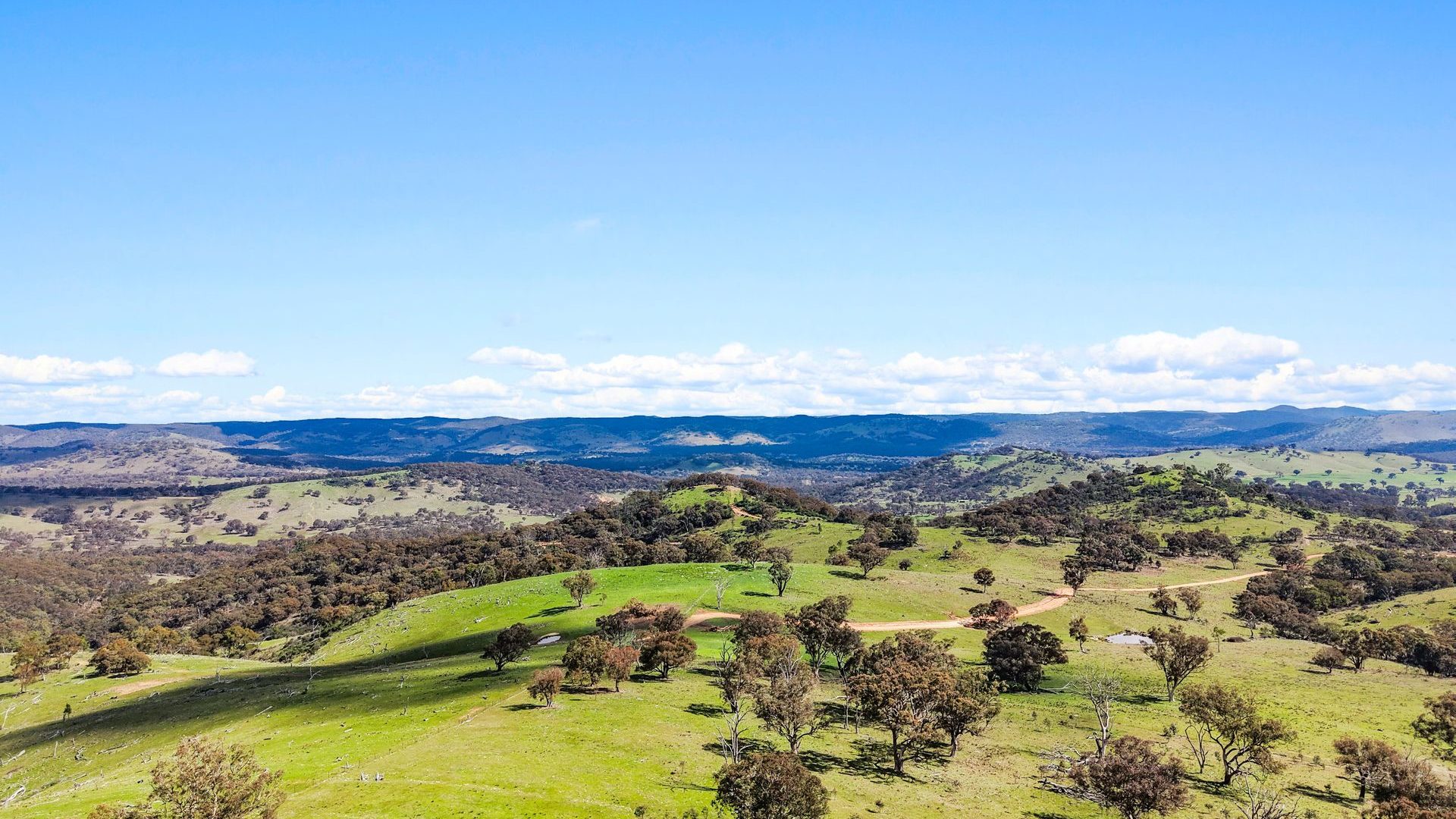 For Sale - Lot 1301, Queens Pinch Road - New Property in Mudgee - Real Estate by Adam Woods