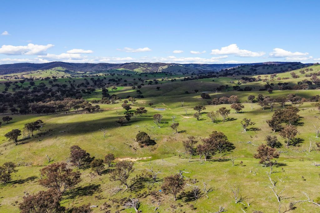 For Sale - Lot 1301, Queens Pinch Road - New Property in Mudgee - Real Estate by Adam Woods