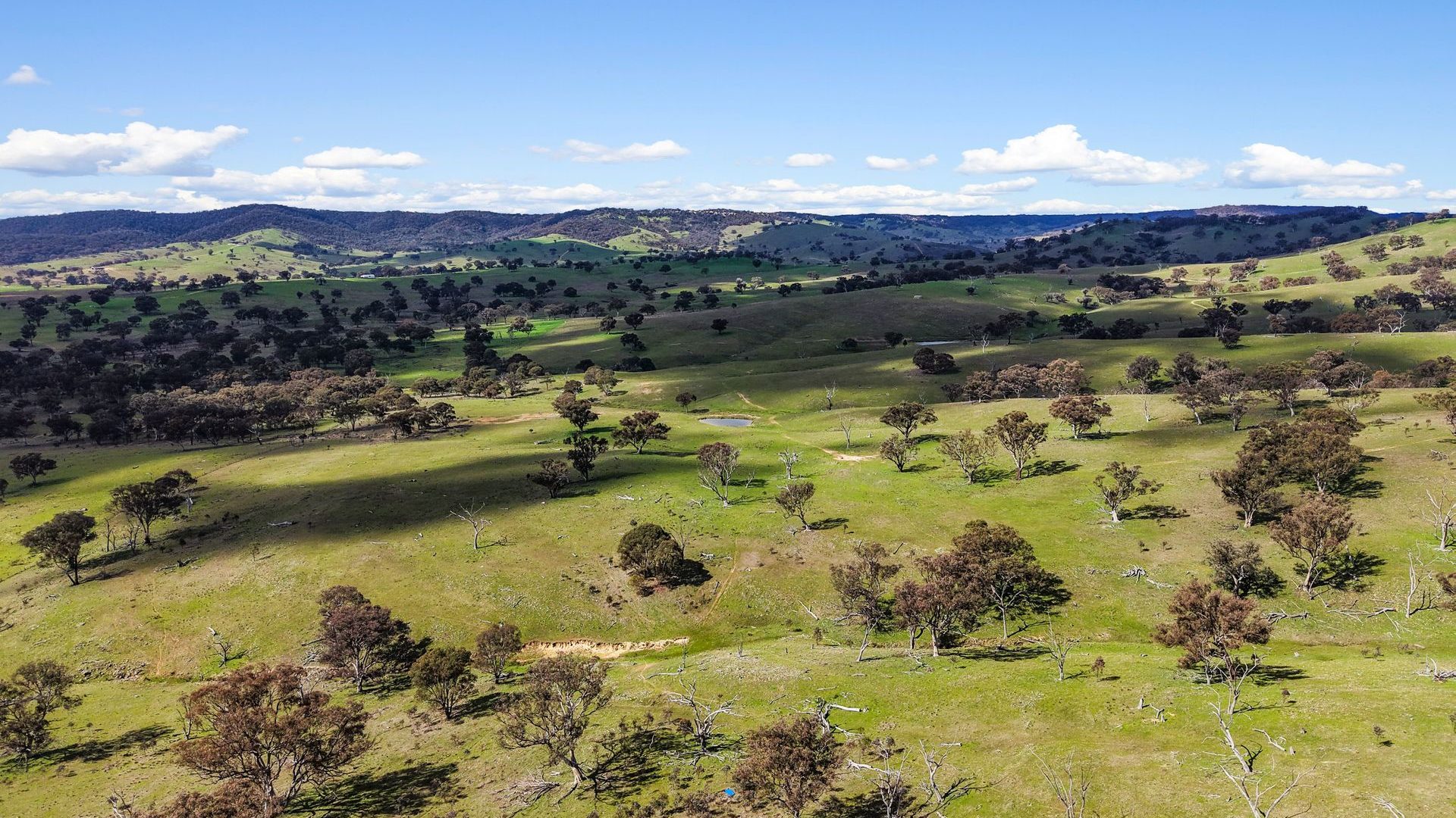 For Sale - Lot 1301, Queens Pinch Road - New Property in Mudgee - Real Estate by Adam Woods