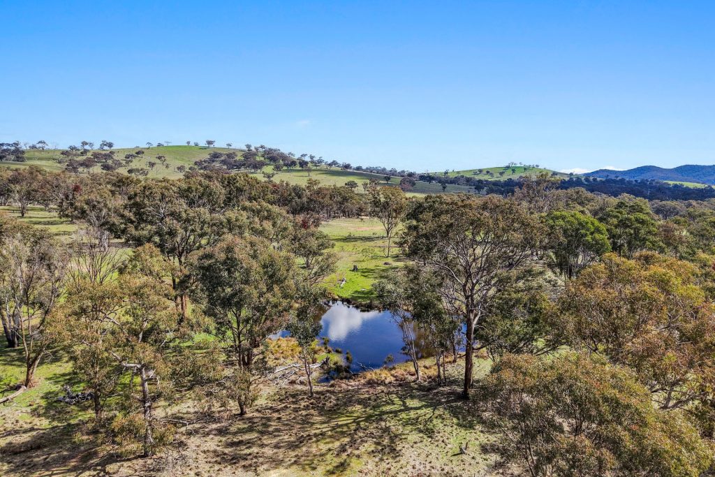 For Sale - Lot 1301, Queens Pinch Road - New Property in Mudgee - Real Estate by Adam Woods