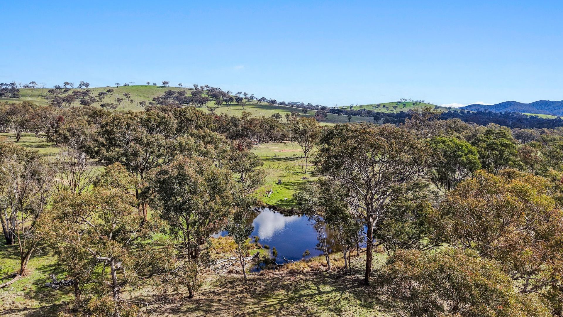 For Sale - Lot 1301, Queens Pinch Road - New Property in Mudgee - Real Estate by Adam Woods