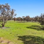 Lot 1301, Queens Pinch Road Mudgee NSW 2850 AUS