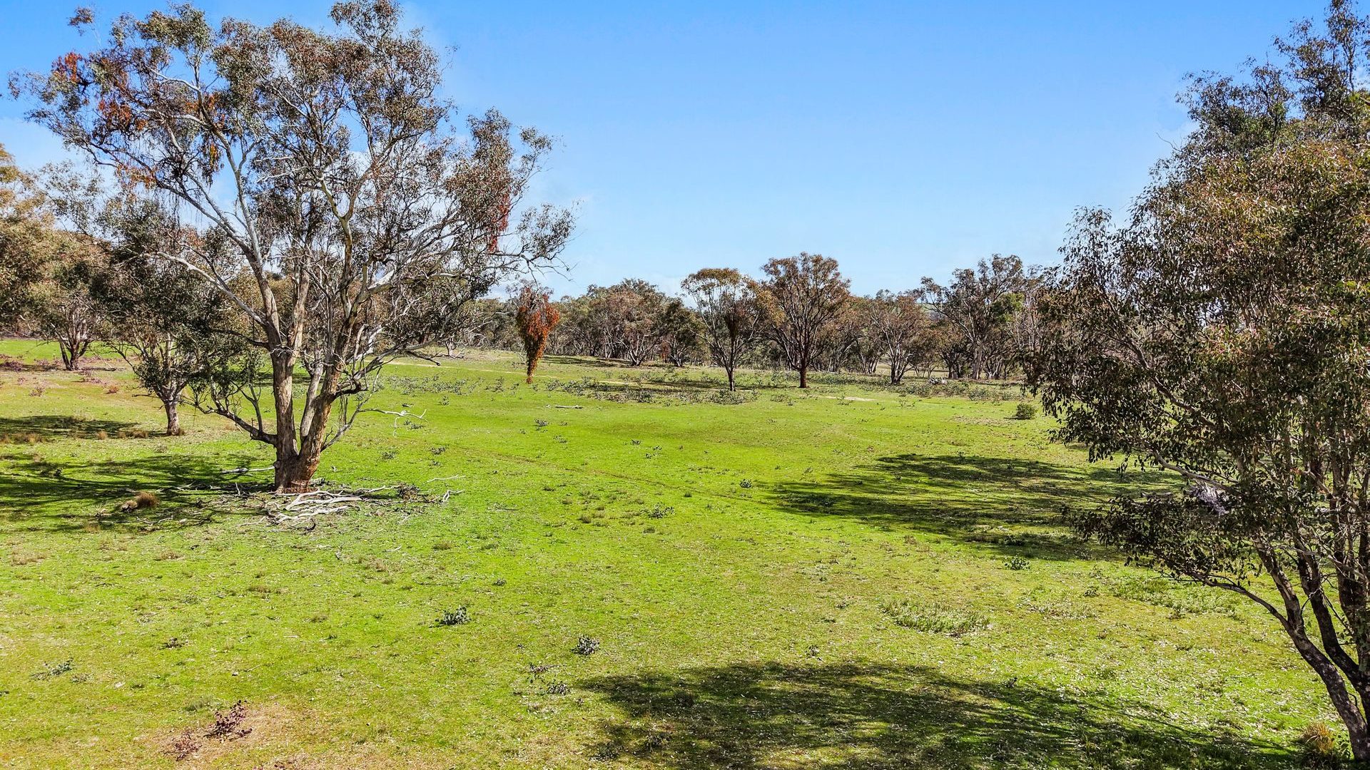 For Sale - Lot 1301, Queens Pinch Road - New Property in Mudgee - Real Estate by Adam Woods