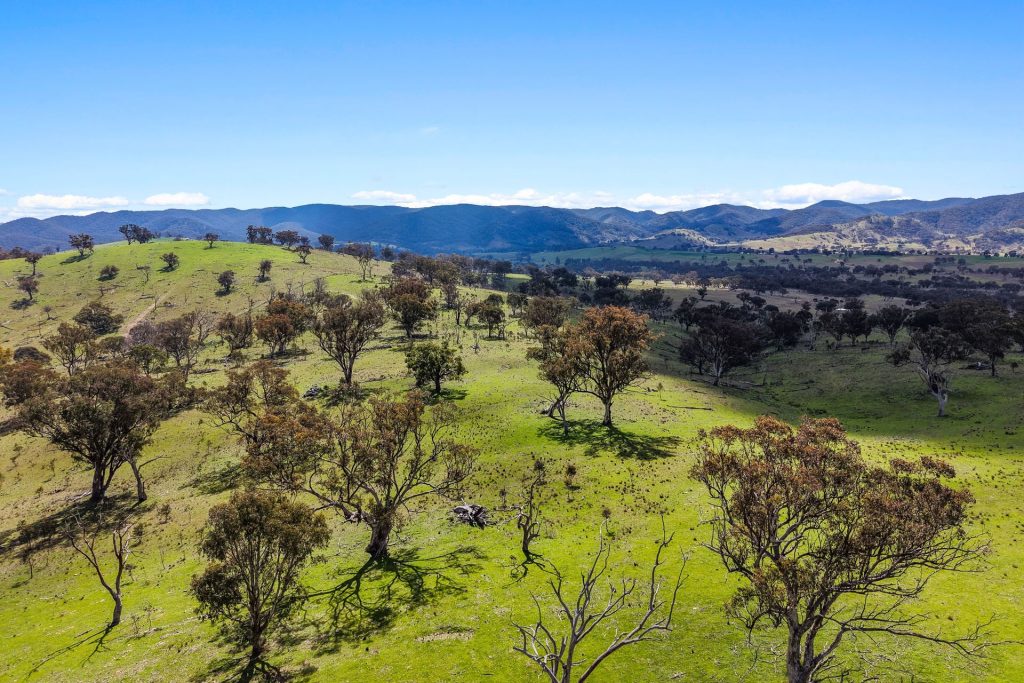 For Sale - Lot 1301, Queens Pinch Road - New Property in Mudgee - Real Estate by Adam Woods