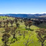 Lot 1301, Queens Pinch Road Mudgee NSW 2850 AUS