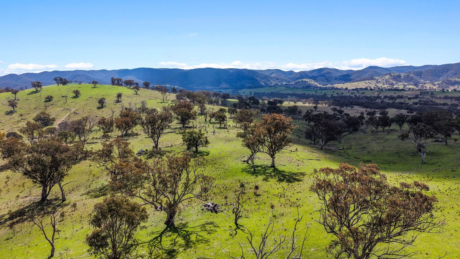 For Sale - Lot 1301, Queens Pinch Road - New Property in Mudgee - Real Estate by Adam Woods