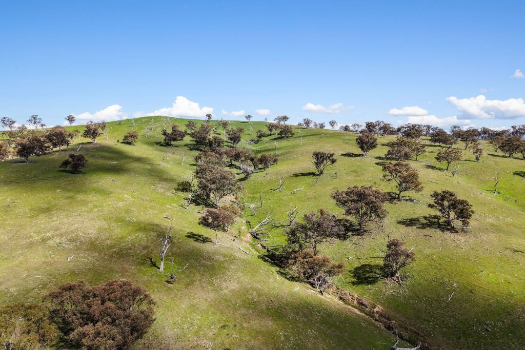 For Sale - Lot 1301, Queens Pinch Road - New Property in Mudgee - Real Estate by Adam Woods