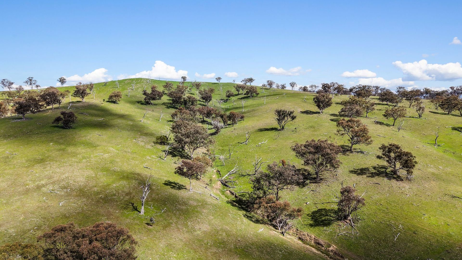 For Sale - Lot 1301, Queens Pinch Road - New Property in Mudgee - Real Estate by Adam Woods