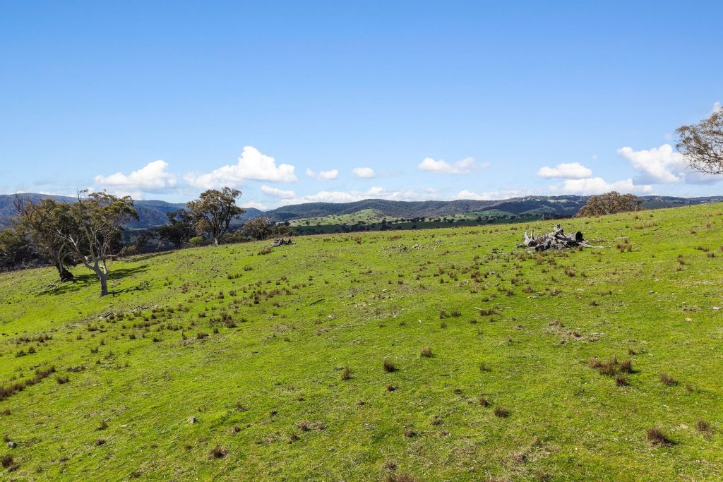 For Sale - Lot 1301, Queens Pinch Road - New Property in Mudgee - Real Estate by Adam Woods