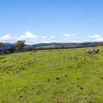 Lot 1301, Queens Pinch Road Mudgee NSW 2850 AUS