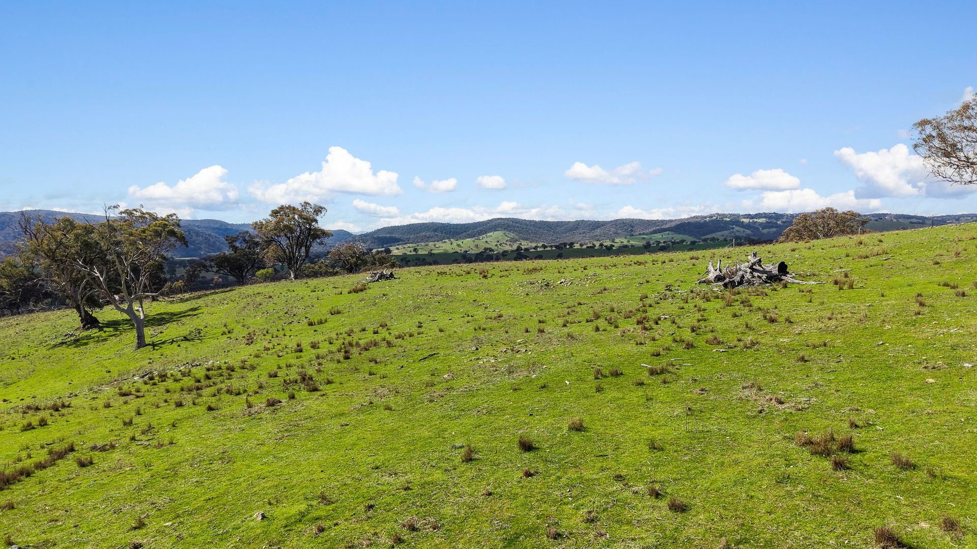For Sale - Lot 1301, Queens Pinch Road - New Property in Mudgee - Real Estate by Adam Woods