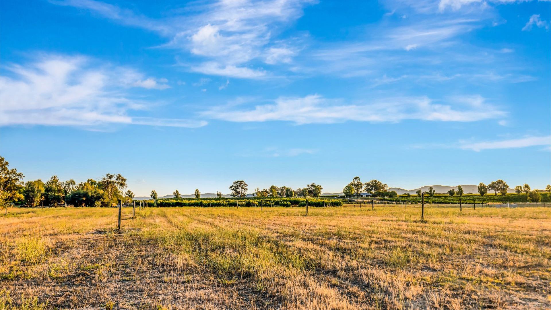 Auction - 95 Eurunderee Lane - New Property in Mudgee - Real Estate by Stewart Adlington