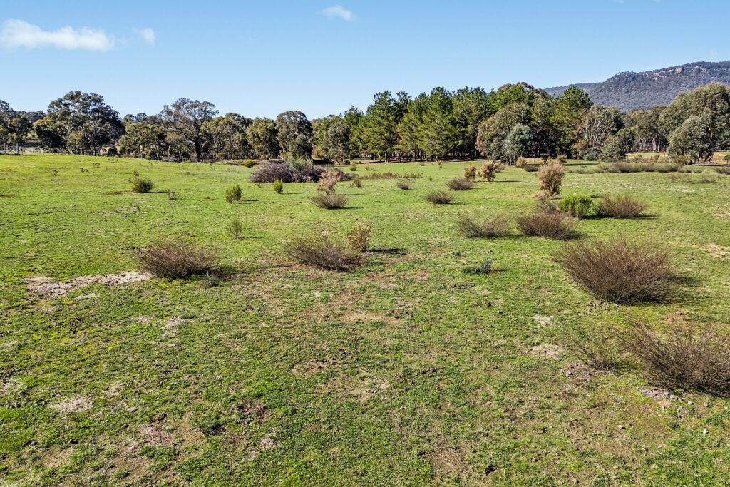 For Sale - 110 Acacia Drive - New Property in Rylstone - Real Estate by Elizabeth Turner