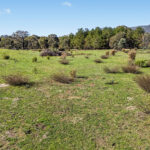 110 Acacia Drive Rylstone NSW 2849 AUS