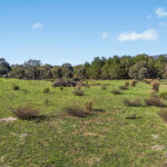 110 Acacia Drive Rylstone NSW 2849 AUS