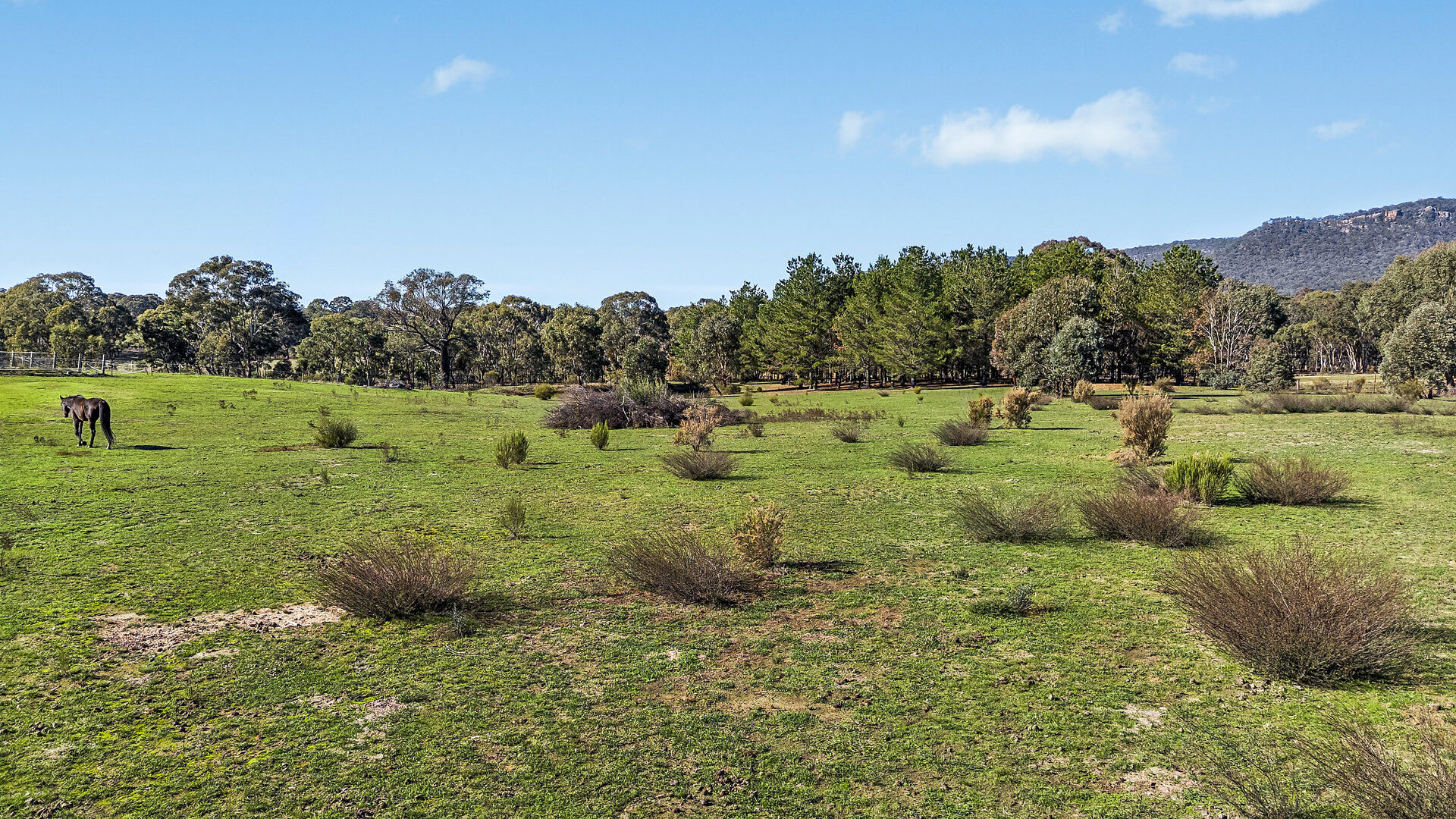 For Sale - 110 Acacia Drive - New Property in Rylstone - Real Estate by Elizabeth Turner