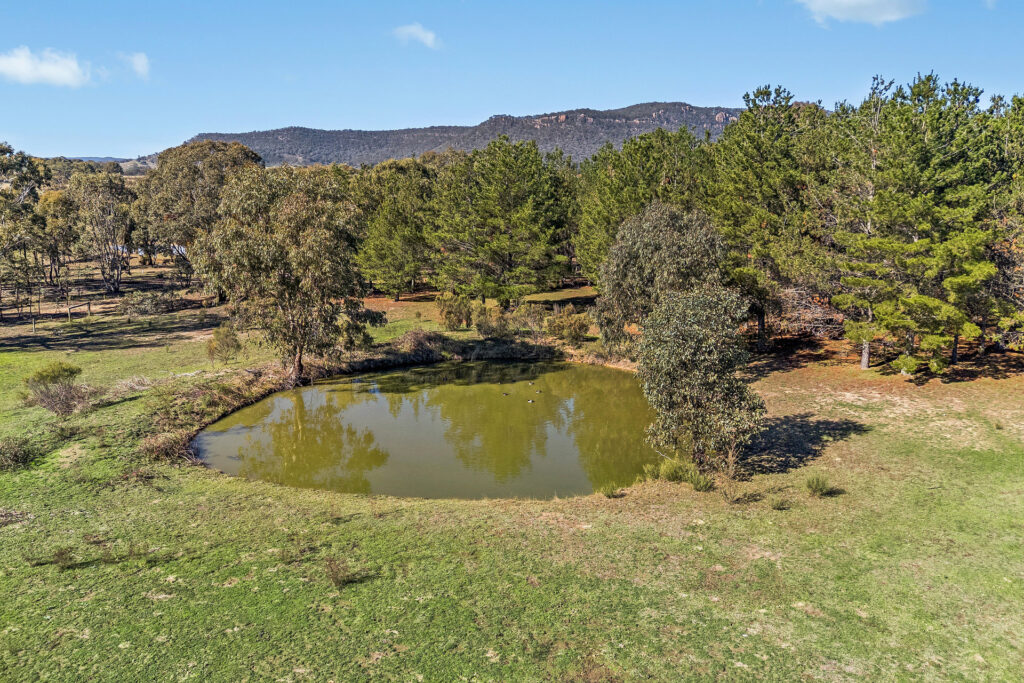 For Sale - 110 Acacia Drive - New Property in Rylstone - Real Estate by Elizabeth Turner
