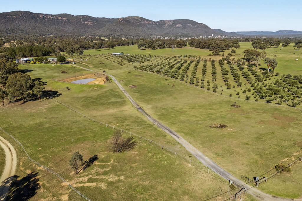 For Sale - 110 Acacia Drive - New Property in Rylstone - Real Estate by Elizabeth Turner