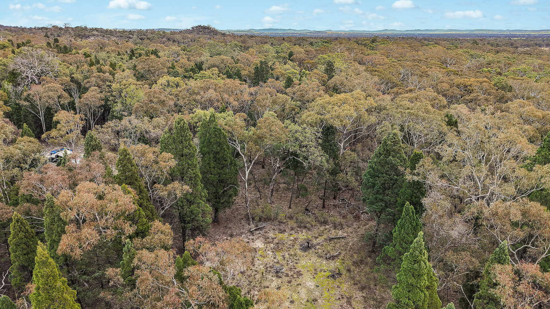 For Sale - 1393 Spring Creek Road - New Property in Mudgee - Real Estate by Hamish Rowe