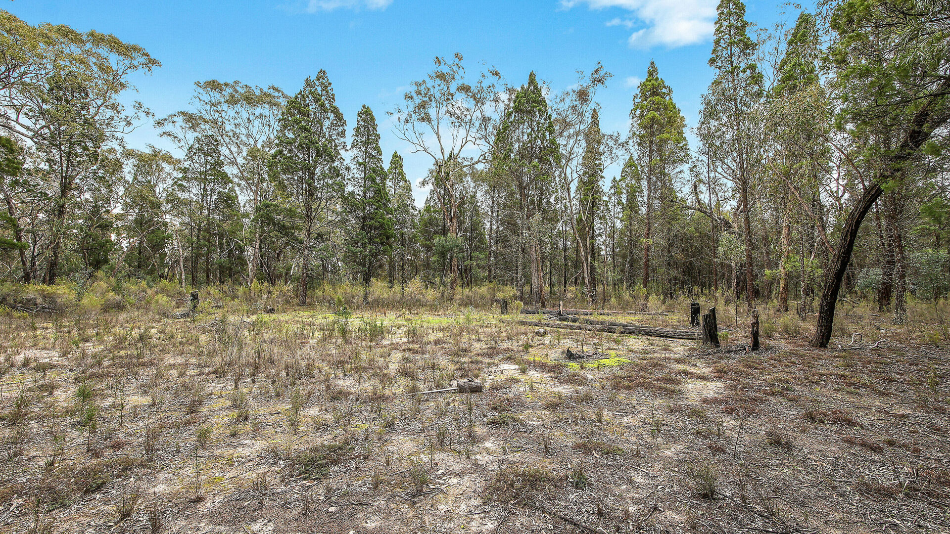 For Sale - 1393 Spring Creek Road - New Property in Mudgee - Real Estate by Hamish Rowe
