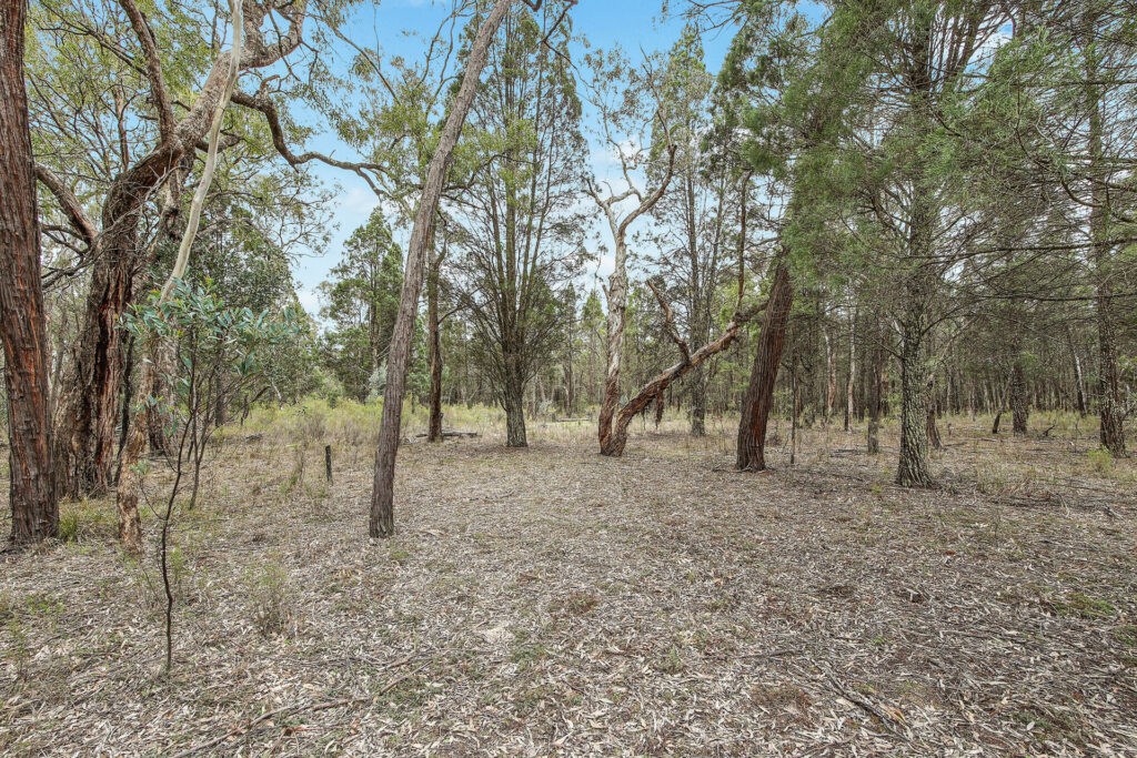 For Sale - 1393 Spring Creek Road - New Property in Mudgee - Real Estate by Hamish Rowe
