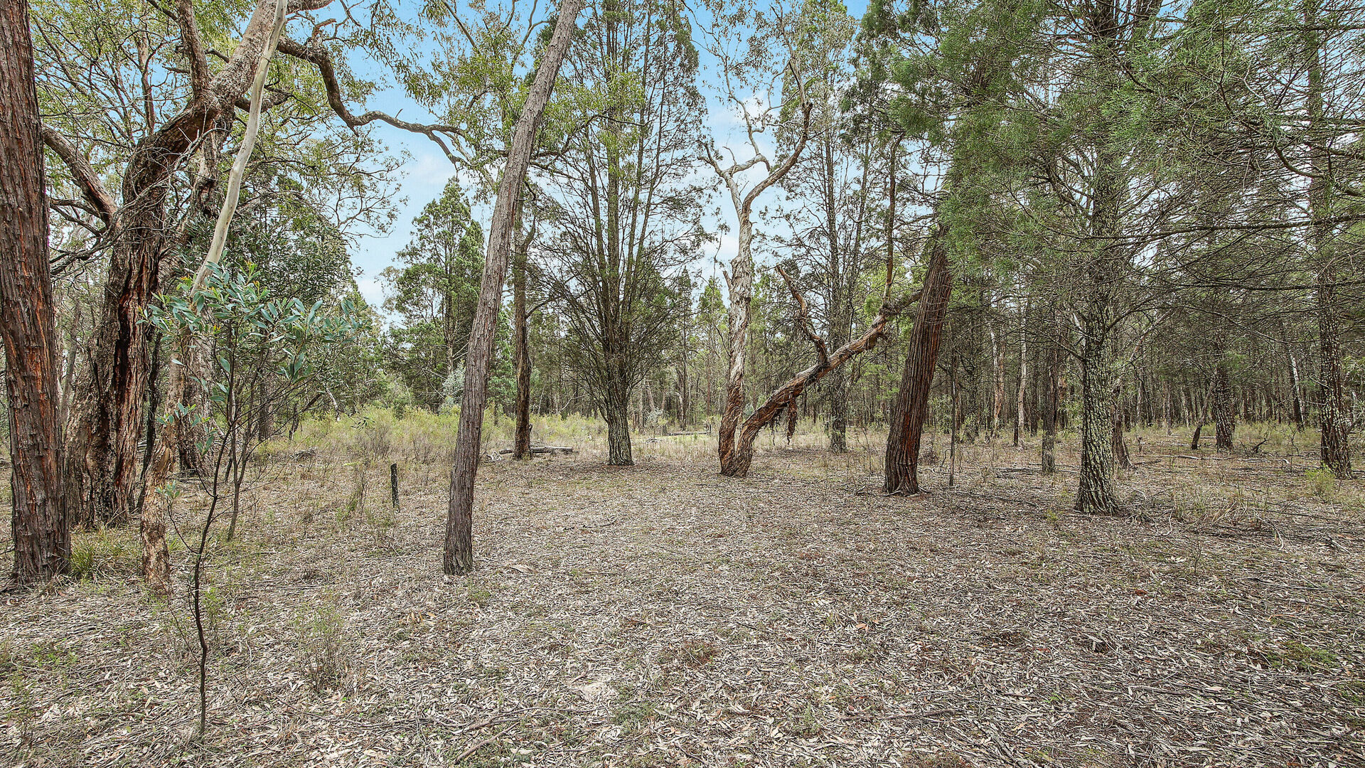 For Sale - 1393 Spring Creek Road - New Property in Mudgee - Real Estate by Hamish Rowe