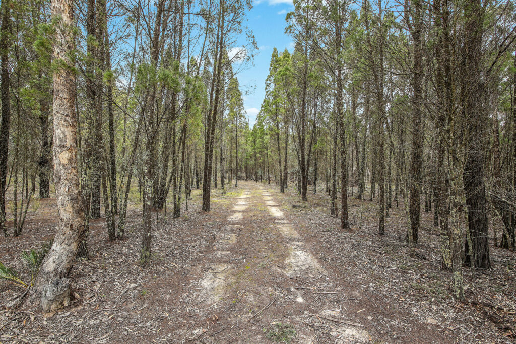 For Sale - 1393 Spring Creek Road - New Property in Mudgee - Real Estate by Hamish Rowe