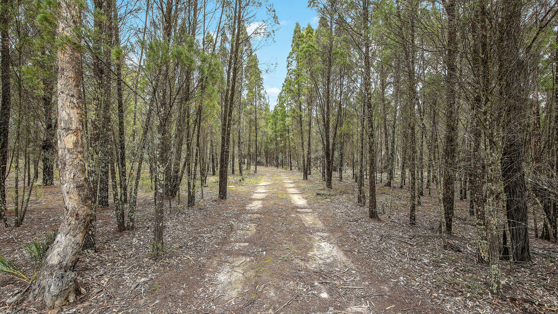 For Sale - 1393 Spring Creek Road - New Property in Mudgee - Real Estate by Hamish Rowe