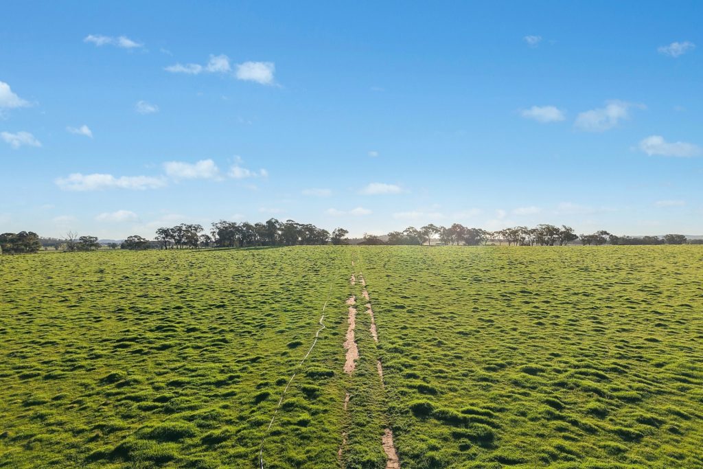 For Sale - 2510 Henry Lawson Drive - New Property in Gulgong - Real Estate by Adam Woods