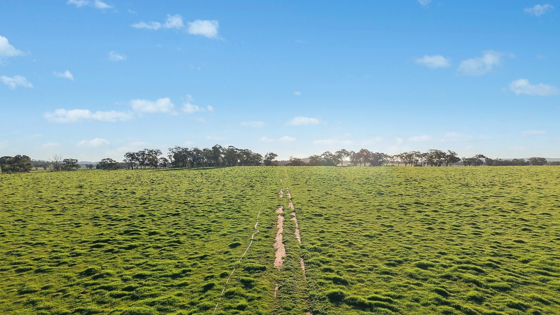 For Sale - 2510 Henry Lawson Drive - New Property in Gulgong - Real Estate by Adam Woods