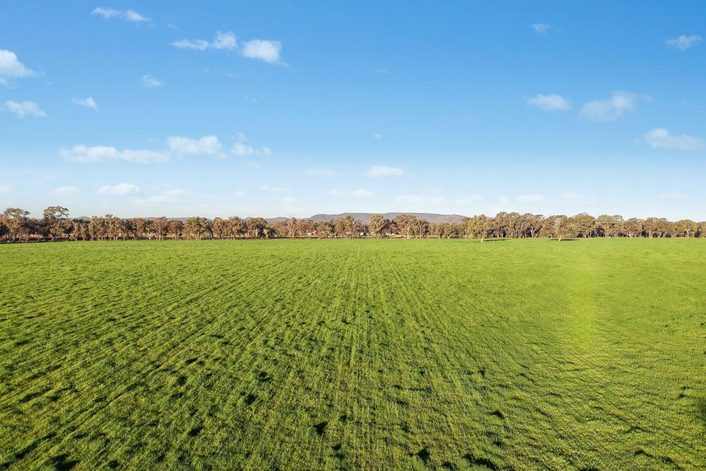 For Sale - 2510 Henry Lawson Drive - New Property in Gulgong - Real Estate by Adam Woods