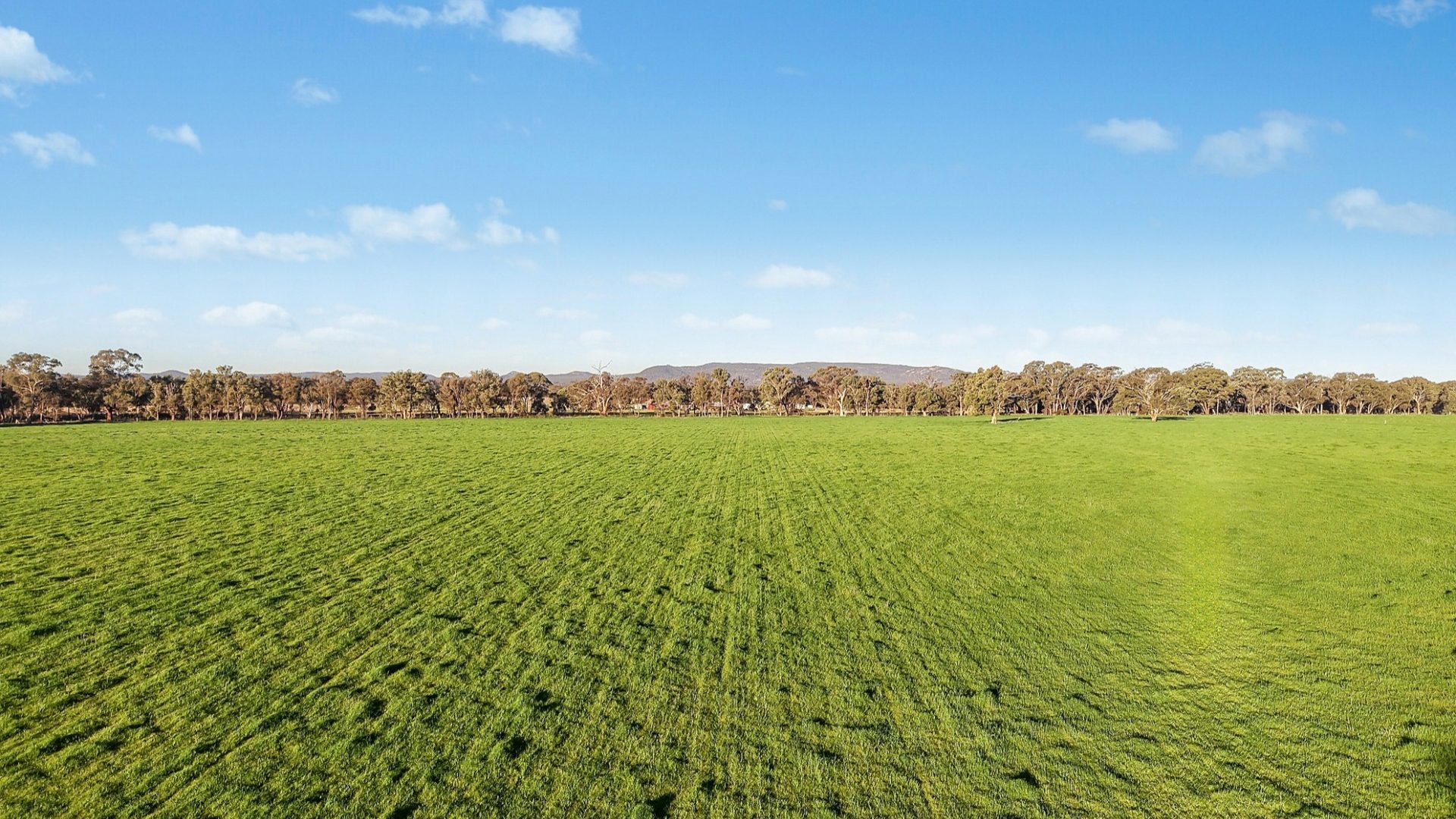 For Sale - 2510 Henry Lawson Drive - New Property in Gulgong - Real Estate by Adam Woods