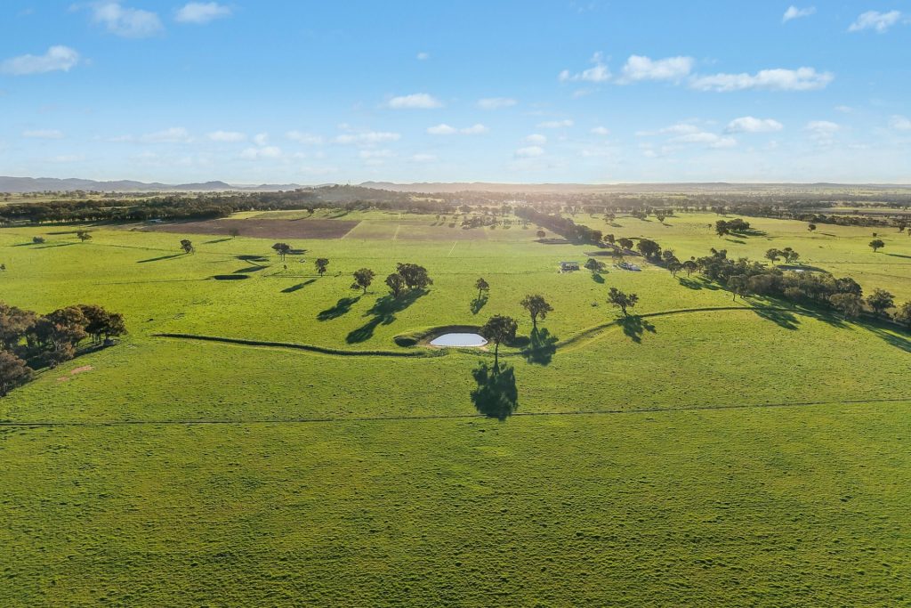 For Sale - 2510 Henry Lawson Drive - New Property in Gulgong - Real Estate by Adam Woods
