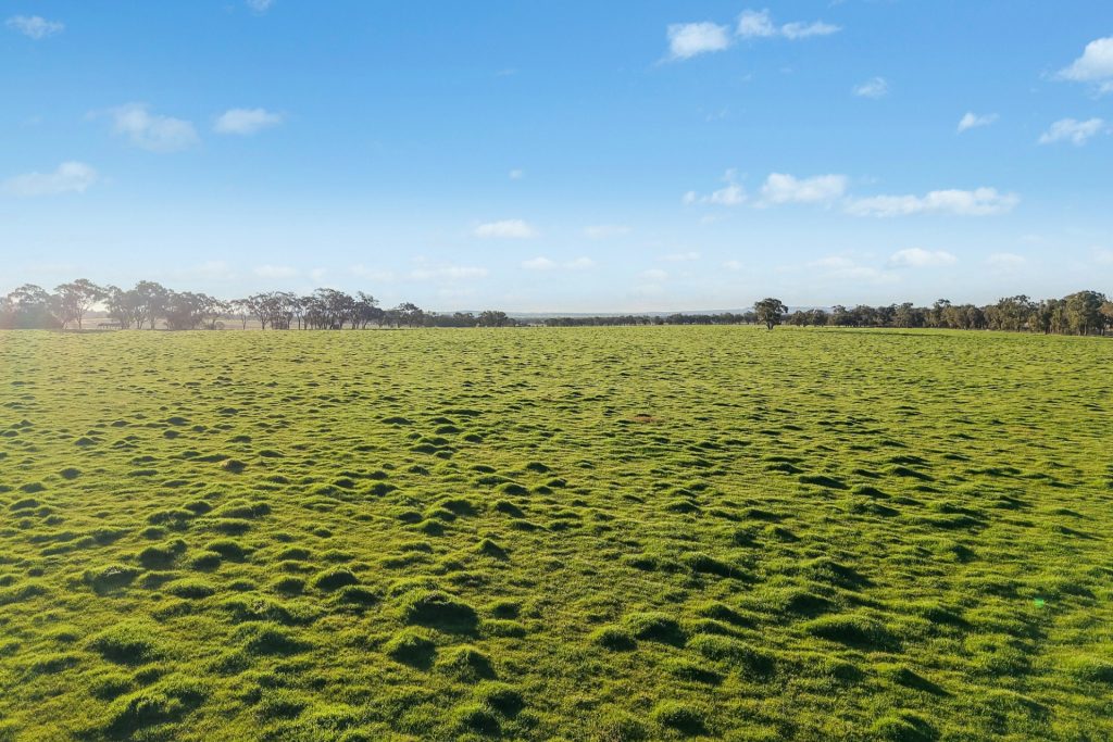 For Sale - 2510 Henry Lawson Drive - New Property in Gulgong - Real Estate by Adam Woods