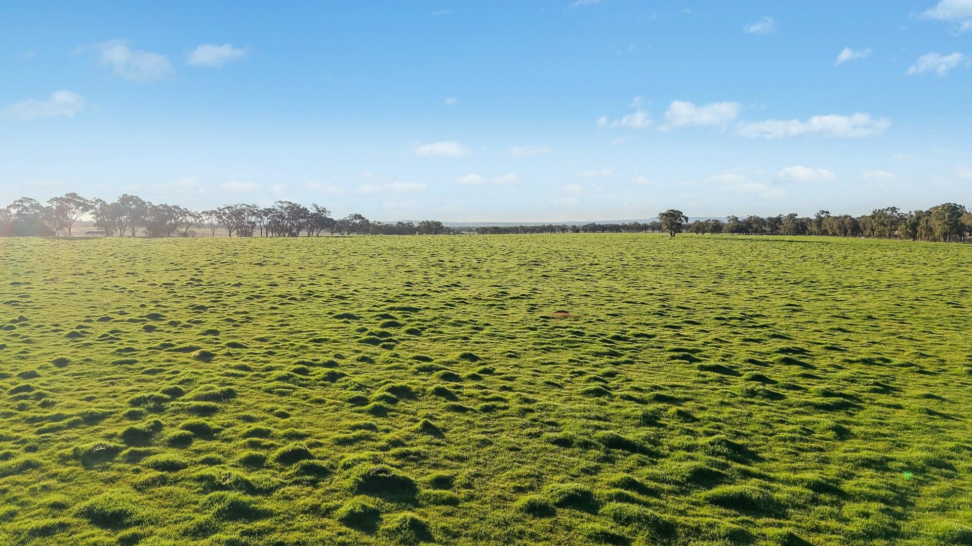 For Sale - 2510 Henry Lawson Drive - New Property in Gulgong - Real Estate by Adam Woods