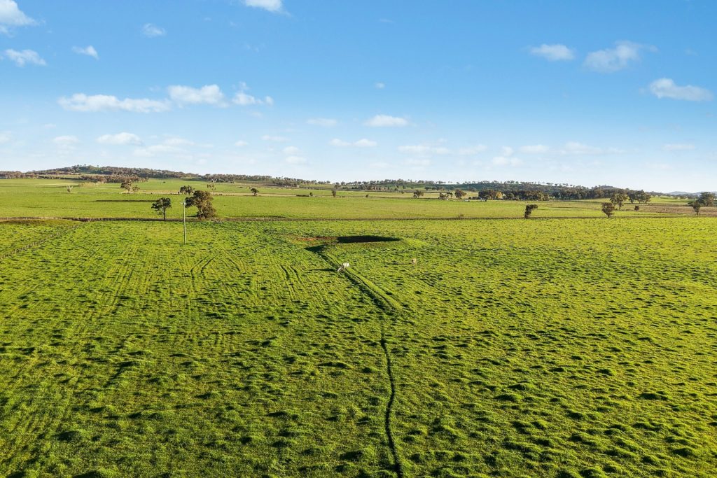 For Sale - 2510 Henry Lawson Drive - New Property in Gulgong - Real Estate by Adam Woods