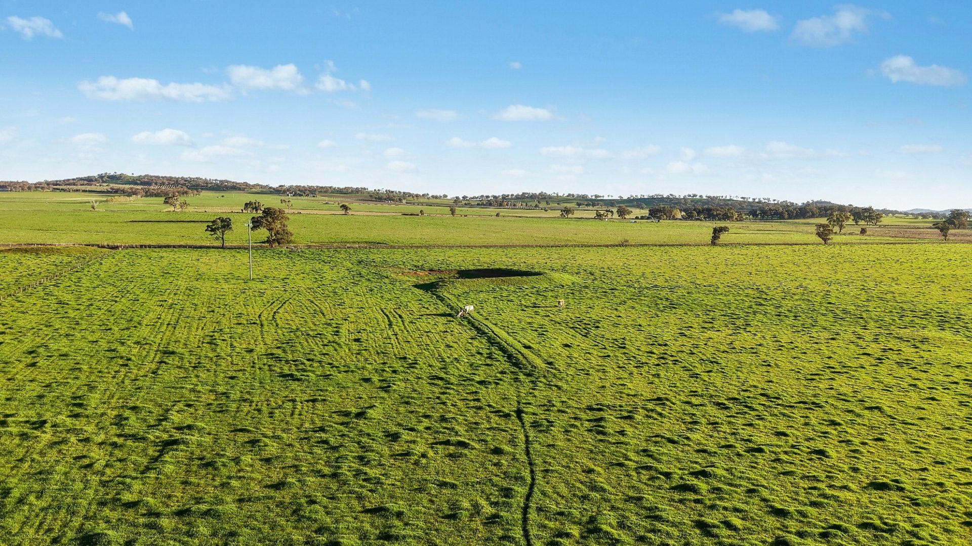 For Sale - 2510 Henry Lawson Drive - New Property in Gulgong - Real Estate by Adam Woods
