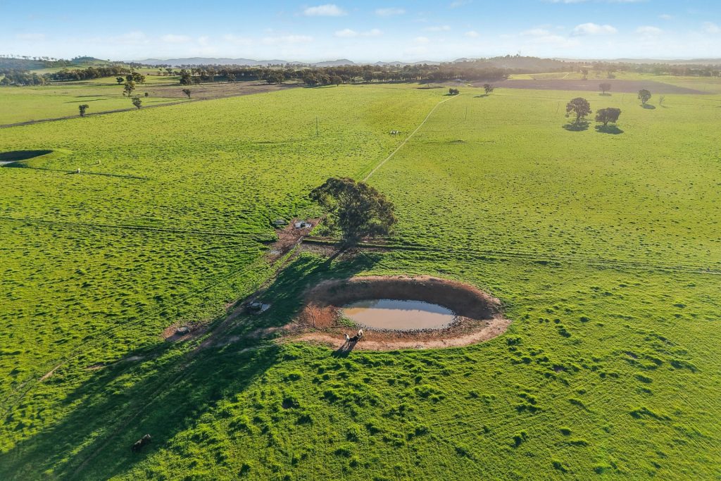 For Sale - 2510 Henry Lawson Drive - New Property in Gulgong - Real Estate by Adam Woods
