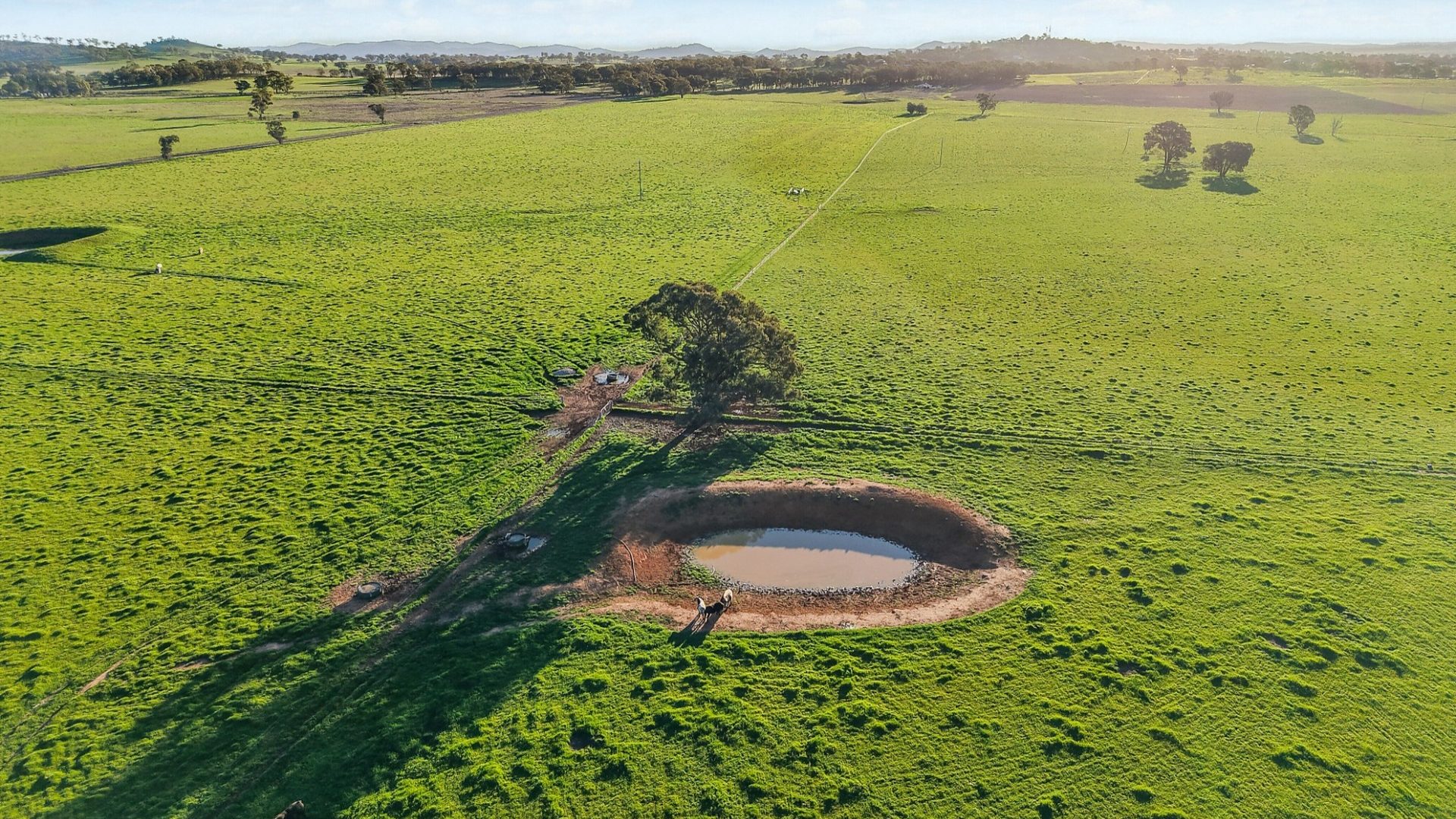 For Sale - 2510 Henry Lawson Drive - New Property in Gulgong - Real Estate by Adam Woods