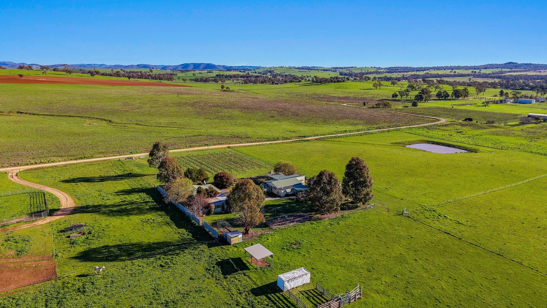For Sale - 161 Stoney Creek Road - New Property in Mudgee - Real Estate by Adam Woods