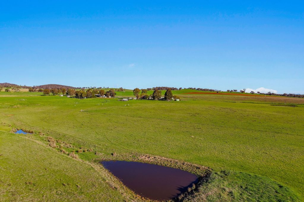 For Sale - 161 Stoney Creek Road - New Property in Mudgee - Real Estate by Adam Woods