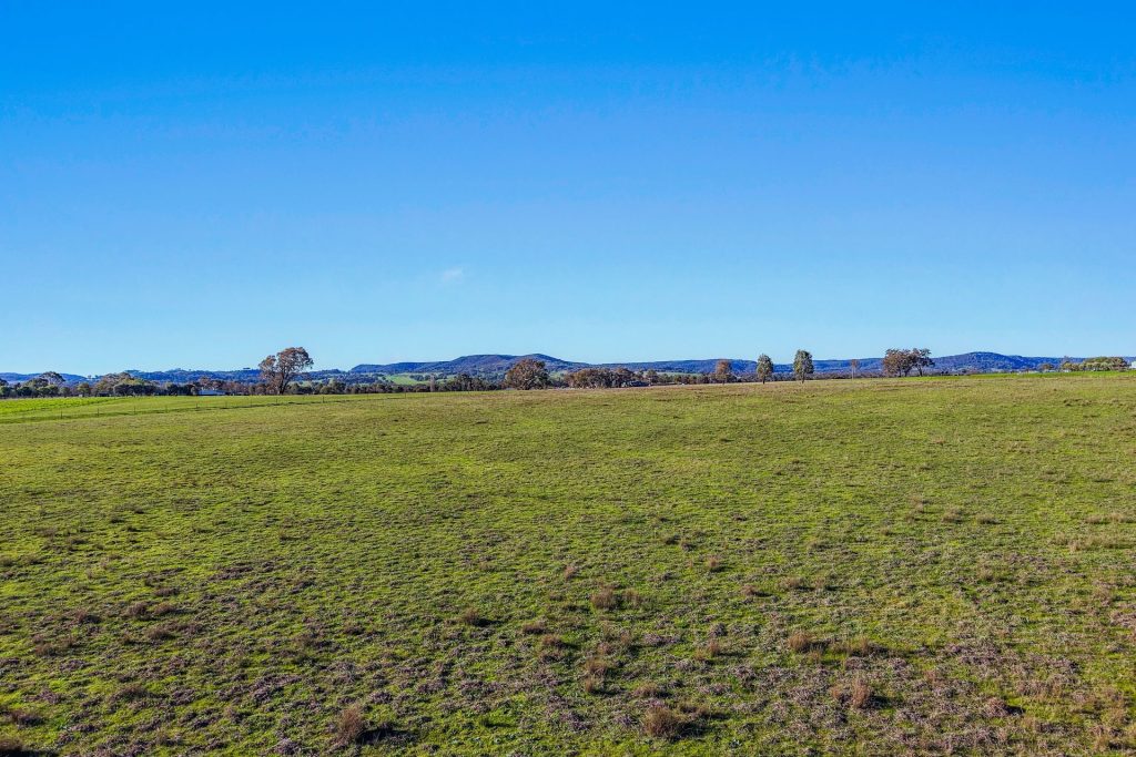 For Sale - 161 Stoney Creek Road - New Property in Mudgee - Real Estate by Adam Woods