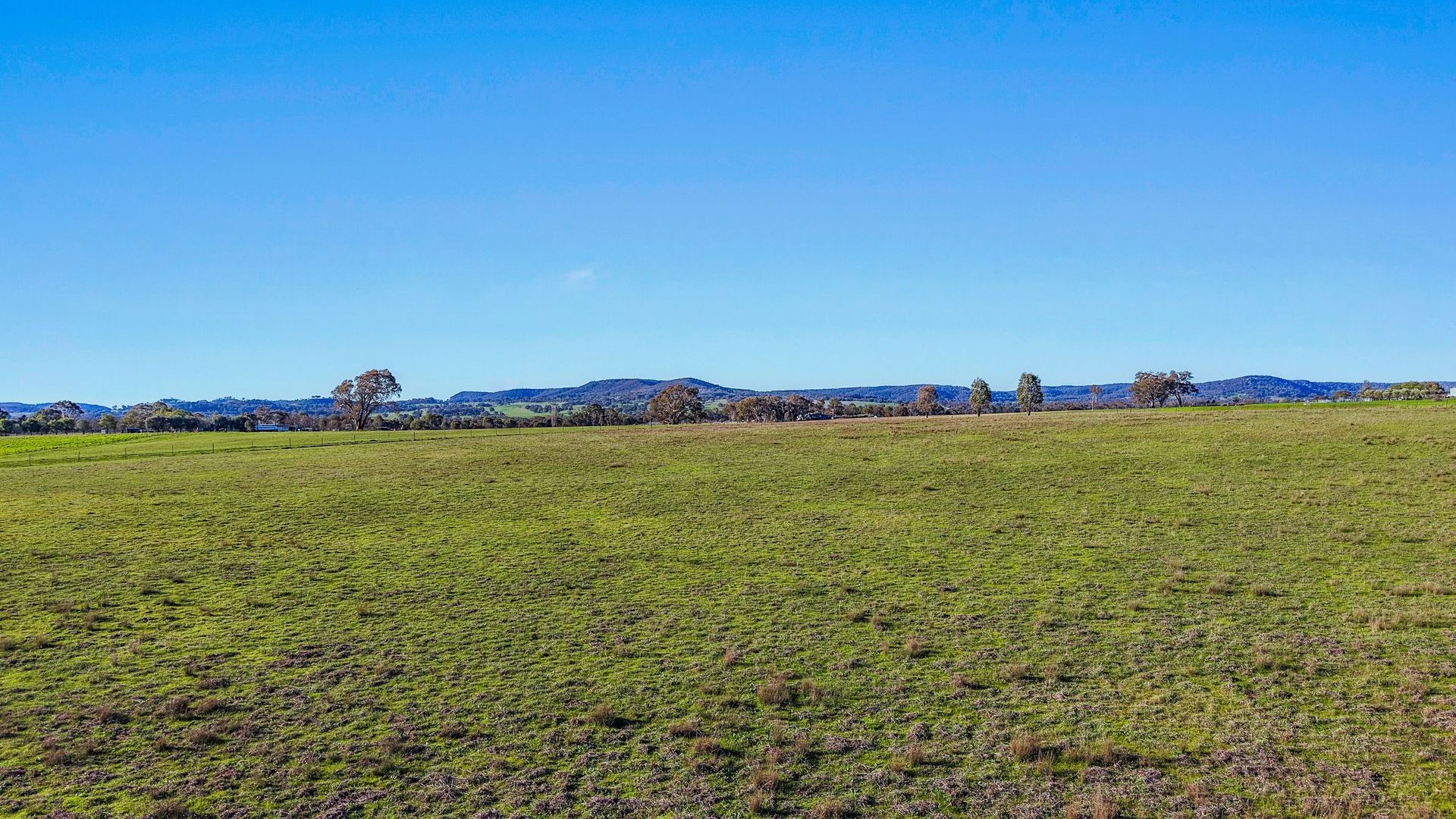 For Sale - 161 Stoney Creek Road - New Property in Mudgee - Real Estate by Adam Woods