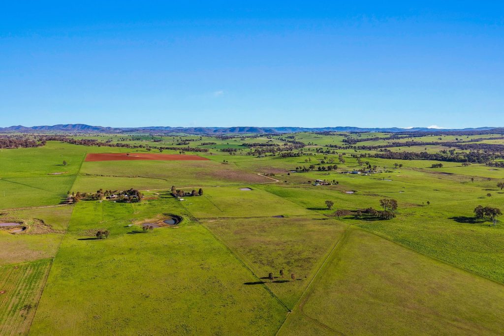 For Sale - 161 Stoney Creek Road - New Property in Mudgee - Real Estate by Adam Woods