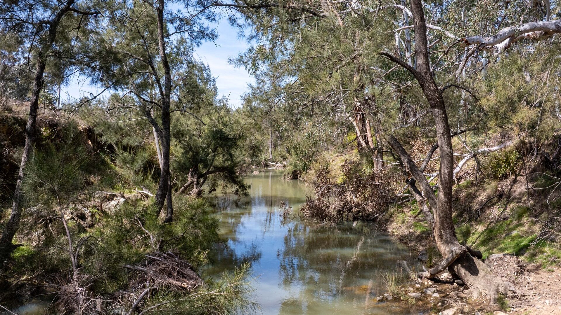 Sold -  Lot 179, Part 1818 Windeyer Road - New Property in Mudgee - Real Estate by Adam Woods