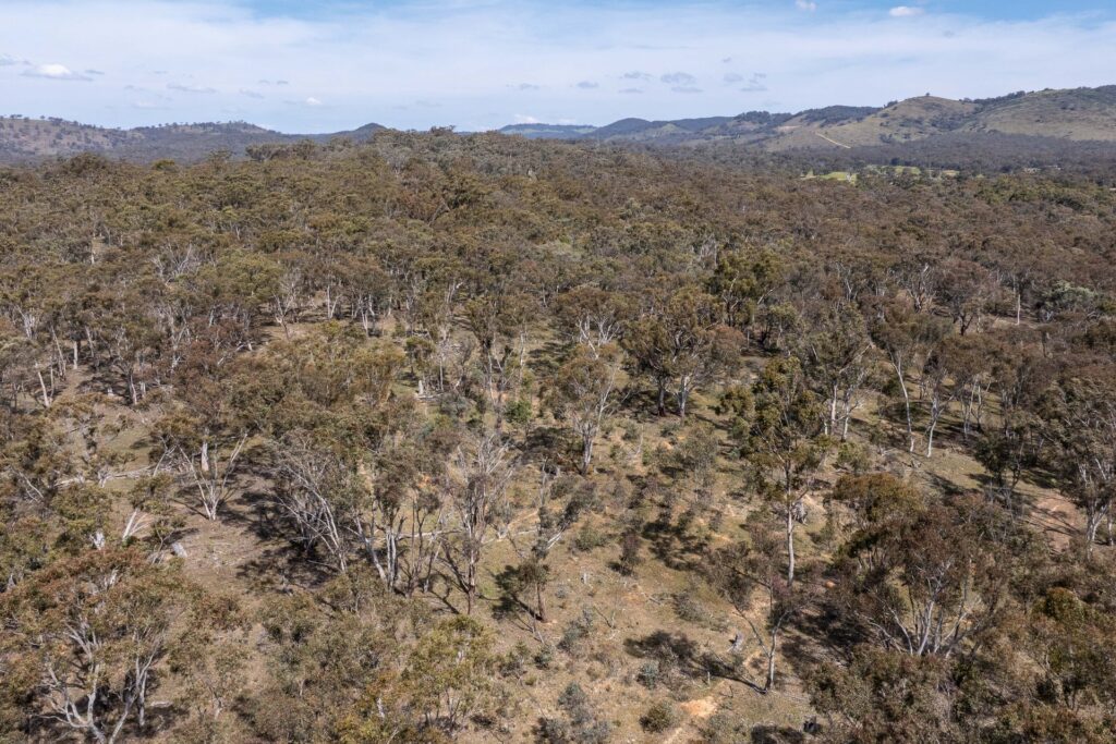 Sold -  Lot 179, Part 1818 Windeyer Road - New Property in Mudgee - Real Estate by Adam Woods