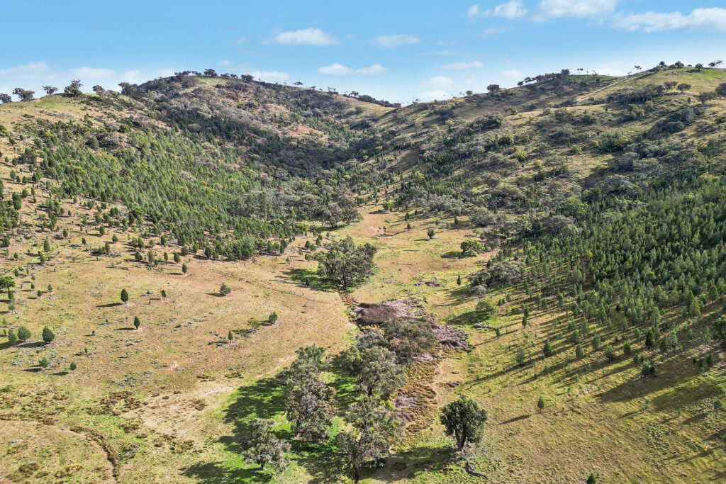 For Sale - 2/1193 Yarrabin Road - New Property in Mudgee - Real Estate by Stewart Adlington