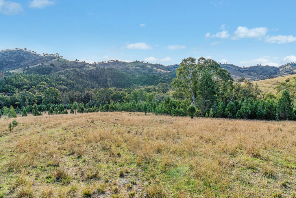 For Sale - 2/1193 Yarrabin Road - New Property in Mudgee - Real Estate by Stewart Adlington